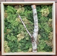 Moosbilder / Moss Art